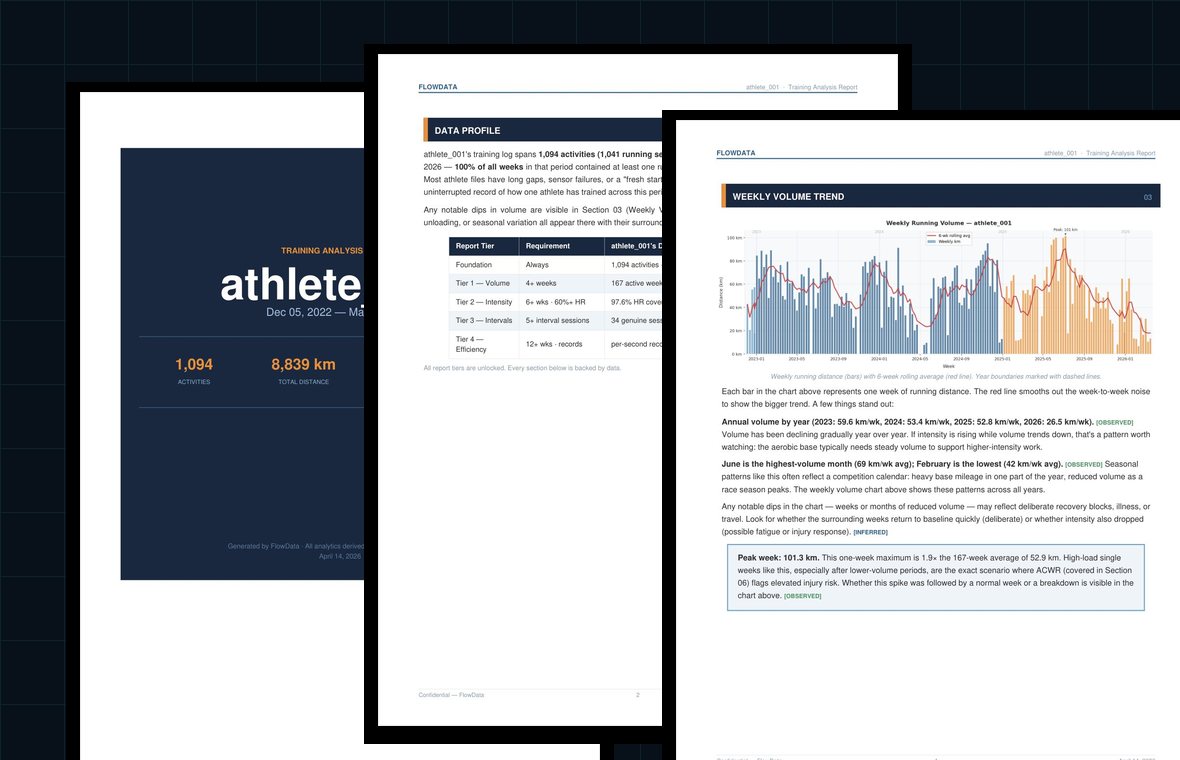 Anonymized FlowData report preview